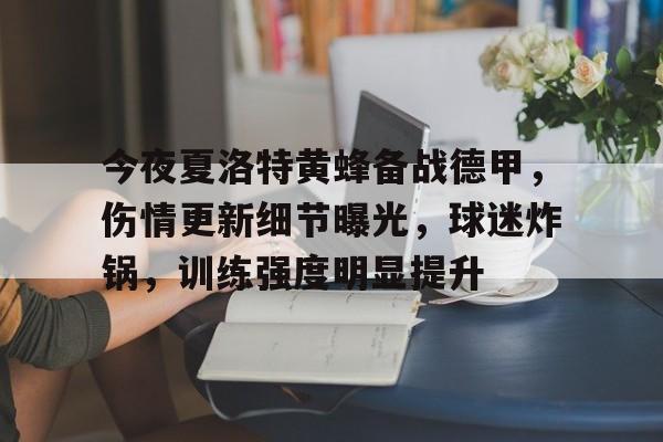 九游礼包-今夜夏洛特黄蜂备战德甲，伤情更新细节曝光，球迷炸锅，训练强度明显提升(谜探路德维希)